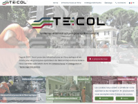 tecolgroup.fr Webseite Vorschau
