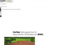 caritas-bigs.at Webseite Vorschau