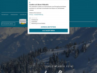 luisls-skischool.com Webseite Vorschau