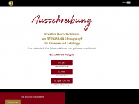 bergmann-onlinewettbewerb.de Webseite Vorschau