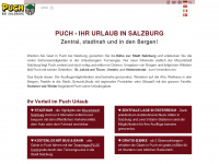 puch-salzburg.com Webseite Vorschau