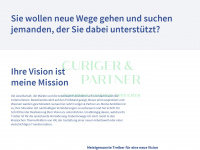 curigerpartner.com Webseite Vorschau