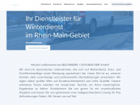 bachmannschumacher.com Webseite Vorschau