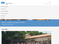 ena-guinee.org Webseite Vorschau