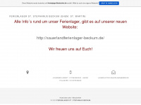 ferienlager-stmartin.de.tl Webseite Vorschau