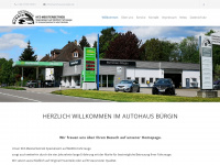 autohaus-buergin.de Webseite Vorschau