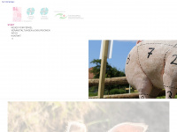 projekt-schwein-haben.de Webseite Vorschau