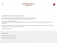 burleun.ch Webseite Vorschau