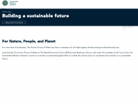 sustainable-markets.org Thumbnail