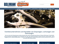 bollmann-selzer.de Webseite Vorschau