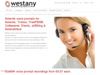 westany.com Webseite Vorschau