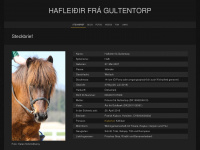 Hafleidir.horse