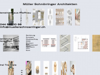 muellerschnoerringer.ch Webseite Vorschau