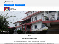 delekhospital.de Webseite Vorschau
