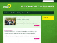 gruene-kreistag-es.de Webseite Vorschau