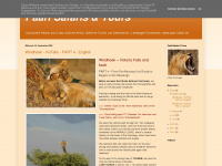 paarl-safari.blogspot.com Webseite Vorschau