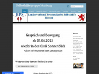 bpsmarburg.weebly.com Webseite Vorschau