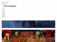 bulls-basketball.eu Webseite Vorschau