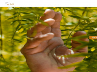 nachhaltige-agrarlieferketten.org Webseite Vorschau