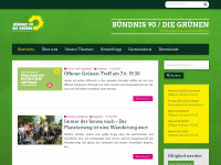 gruene-gochsheim.de Webseite Vorschau
