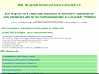 bug-grossauheim.de Webseite Vorschau