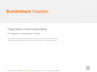 bundenbach-fossilien.de Webseite Vorschau