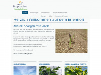 brupi.ch Webseite Vorschau