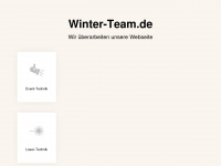 winter-team.de Webseite Vorschau