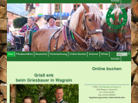 griesbauer-wagrain.at Webseite Vorschau