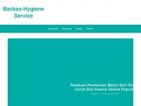 backes-hygieneservice.de Webseite Vorschau