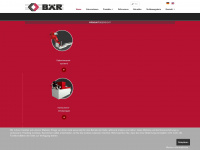 baer-anlagentechnik.de Webseite Vorschau
