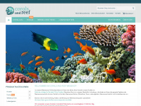 coralsandreef.com Webseite Vorschau
