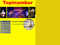Topinambur-band.de