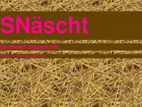 snaescht.ch Webseite Vorschau