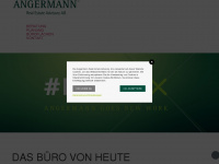 angermann-neworx.de Webseite Vorschau