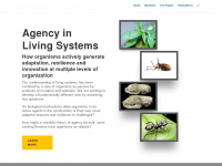 agencyinlivingsystems.com