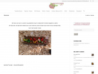 karierte-tomate.de Webseite Vorschau