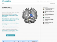 netstim.org Webseite Vorschau