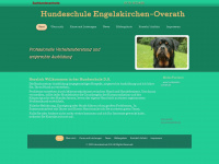 hundeschule-ds.de Webseite Vorschau