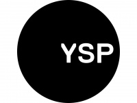ysp.org.uk Webseite Vorschau