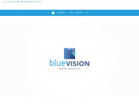 bluevision-networks.de Webseite Vorschau