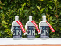 flying-gin.de Webseite Vorschau