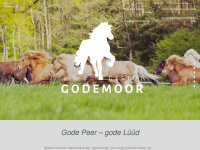godemoor.com Webseite Vorschau