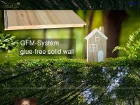 gfm-system.com Webseite Vorschau