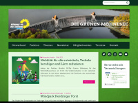 grüne-möhnesee.de Webseite Vorschau
