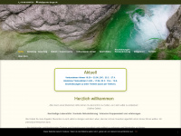 guenter-berger.de Webseite Vorschau