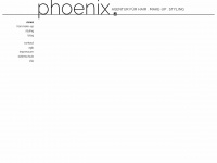 phoenix-agentur.de Webseite Vorschau