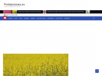 portalprasowy.eu Webseite Vorschau