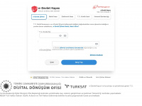 giris.turkiye.gov.tr Webseite Vorschau