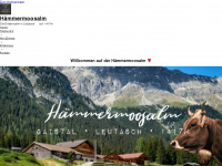 haemmermoosalm.com Webseite Vorschau